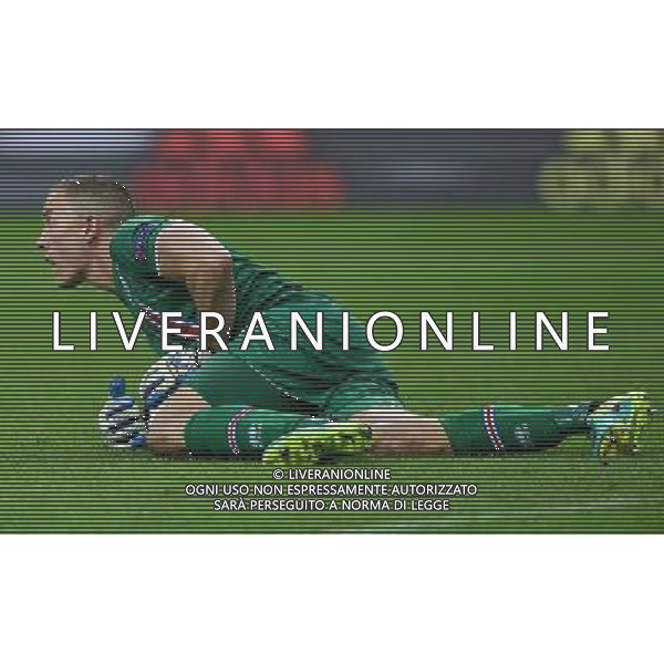 UEFA Francia EURO 2016 Final Tournament Quarter Finals Parigi Saint-Denis - 03.07.2016 Francia-Islanda Nella Foto:Halldorsson Hannes /Ph.Vitez-Ag. Aldo Liverani