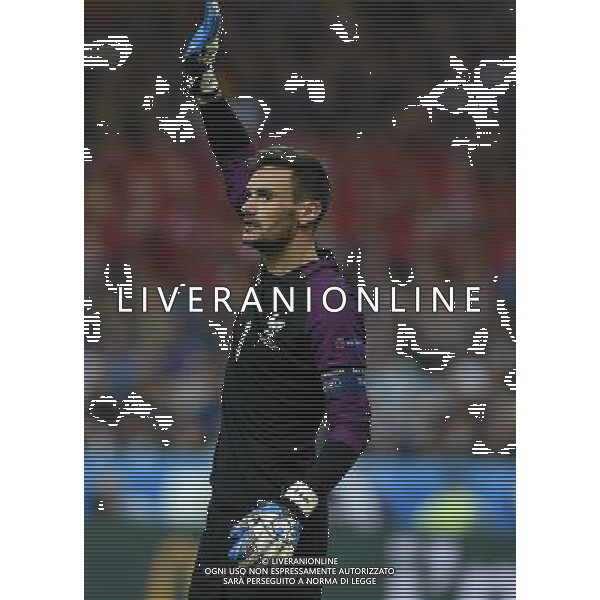 UEFA Francia EURO 2016 Final Tournament Quarter Finals Parigi Saint-Denis - 03.07.2016 Francia-Islanda Nella Foto:Lloris Hugo /Ph.Vitez-Ag. Aldo Liverani