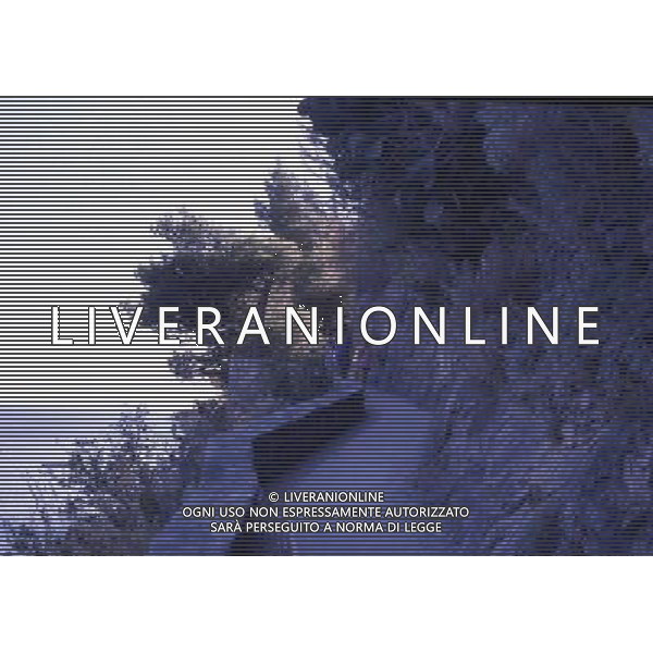 CAMPANIA PANORAMICHE DI POSITANO AG ALDO LIVERANI SAS