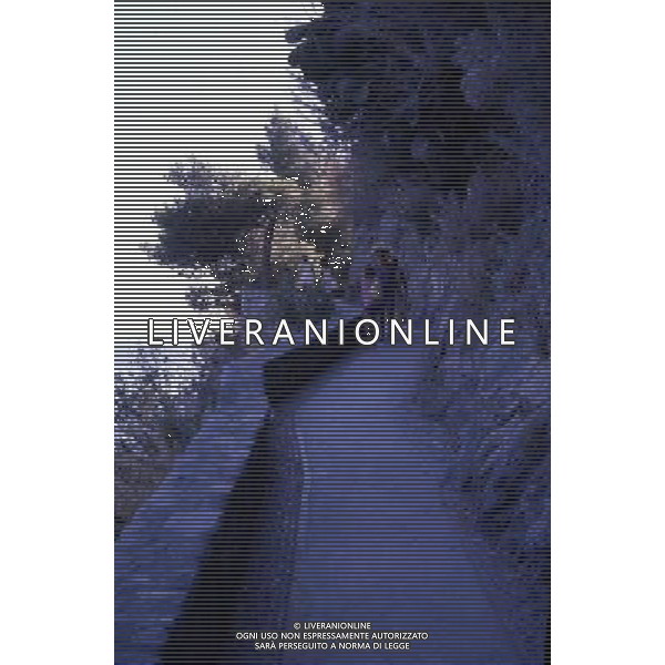 CAMPANIA PANORAMICHE DI POSITANO AG ALDO LIVERANI SAS