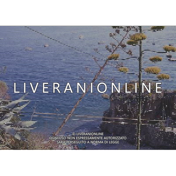 CAMPANIA PANORAMICHE DI POSITANO AG ALDO LIVERANI SAS