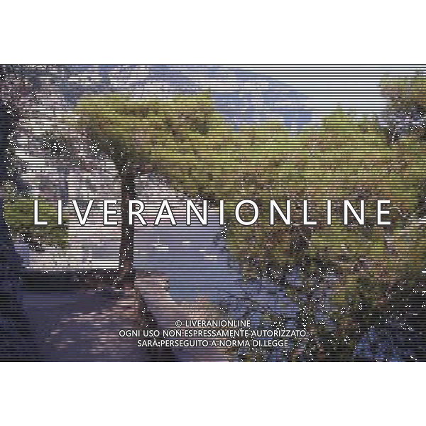 CAMPANIA PANORAMICHE DI POSITANO AG ALDO LIVERANI SAS