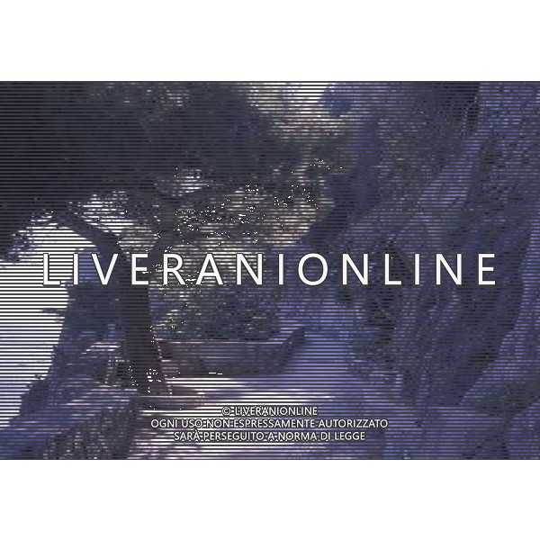 CAMPANIA PANORAMICHE DI POSITANO AG ALDO LIVERANI SAS