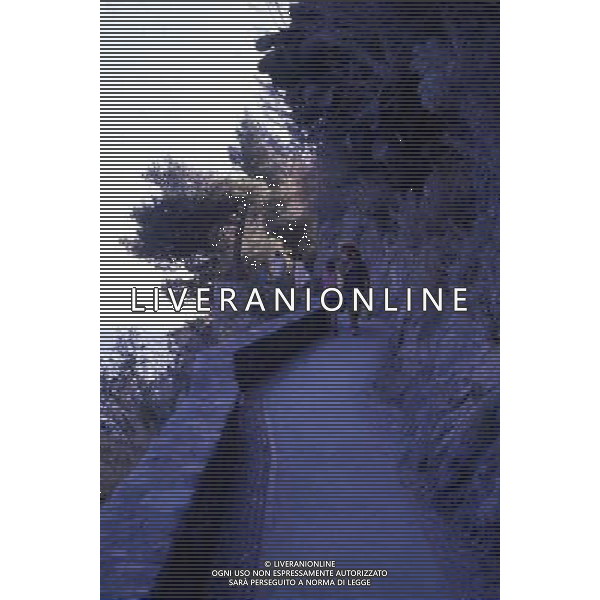 CAMPANIA PANORAMICHE DI POSITANO AG ALDO LIVERANI SAS