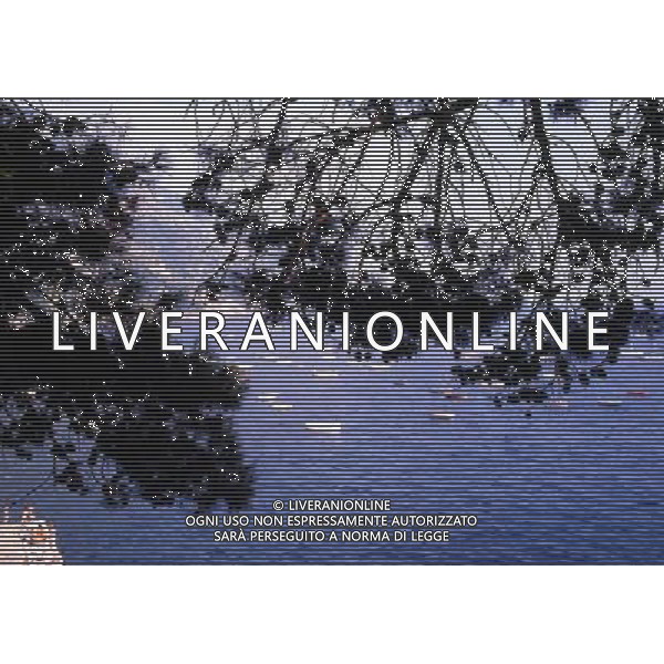 CAMPANIA PANORAMICHE DI POSITANO AG ALDO LIVERANI SAS