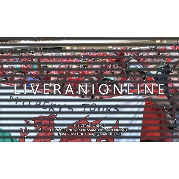 UEFA Francia EURO 2016 Final Tournament Semi-finals Lione - 06.07.2016 Portogallo-Galles Nella Foto: TIFOSI /Ph.Vitez-Ag. Aldo Liverani