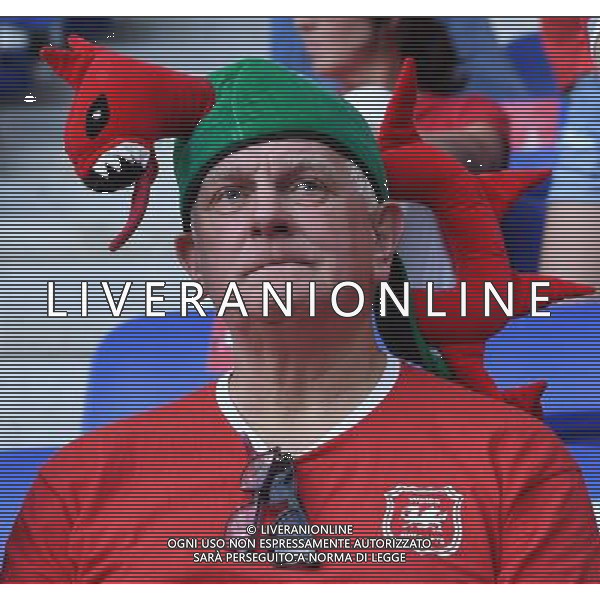 UEFA Francia EURO 2016 Final Tournament Semi-finals Lione - 06.07.2016 Portogallo-Galles Nella Foto: TIFOSI /Ph.Vitez-Ag. Aldo Liverani