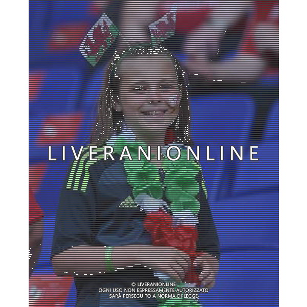 UEFA Francia EURO 2016 Final Tournament Semi-finals Lione - 06.07.2016 Portogallo-Galles Nella Foto: TIFOSI /Ph.Vitez-Ag. Aldo Liverani