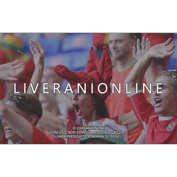 UEFA Francia EURO 2016 Final Tournament Semi-finals Lione - 06.07.2016 Portogallo-Galles Nella Foto: TIFOSI /Ph.Vitez-Ag. Aldo Liverani