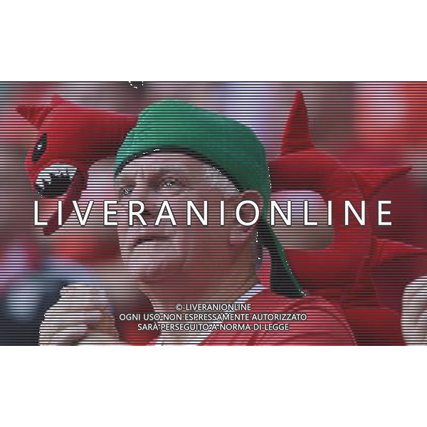 UEFA Francia EURO 2016 Final Tournament Semi-finals Lione - 06.07.2016 Portogallo-Galles Nella Foto: TIFOSI /Ph.Vitez-Ag. Aldo Liverani