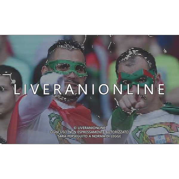 UEFA Francia EURO 2016 Final Tournament Semi-finals Lione - 06.07.2016 Portogallo-Galles Nella Foto: TIFOSI /Ph.Vitez-Ag. Aldo Liverani