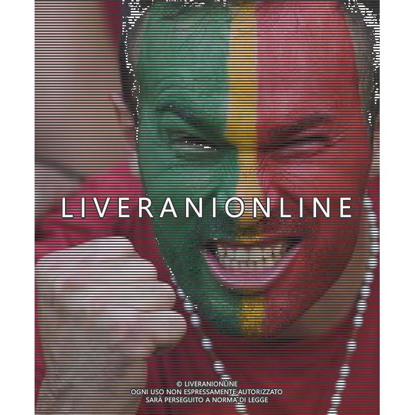 UEFA Francia EURO 2016 Final Tournament Semi-finals Lione - 06.07.2016 Portogallo-Galles Nella Foto: TIFOSI /Ph.Vitez-Ag. Aldo Liverani