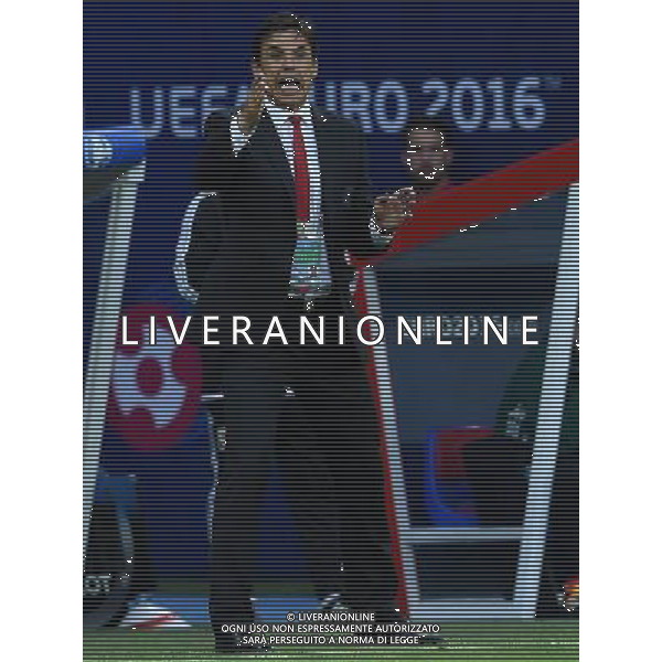 UEFA Francia EURO 2016 Final Tournament Semi-finals Lione - 06.07.2016 Portogallo-Galles Nella Foto: Christopher Coleman /Ph.Vitez-Ag. Aldo Liverani