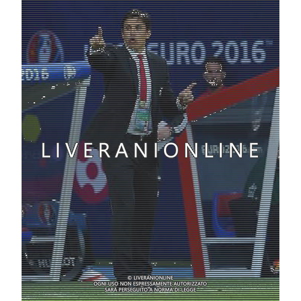 UEFA Francia EURO 2016 Final Tournament Semi-finals Lione - 06.07.2016 Portogallo-Galles Nella Foto: Christopher Coleman /Ph.Vitez-Ag. Aldo Liverani