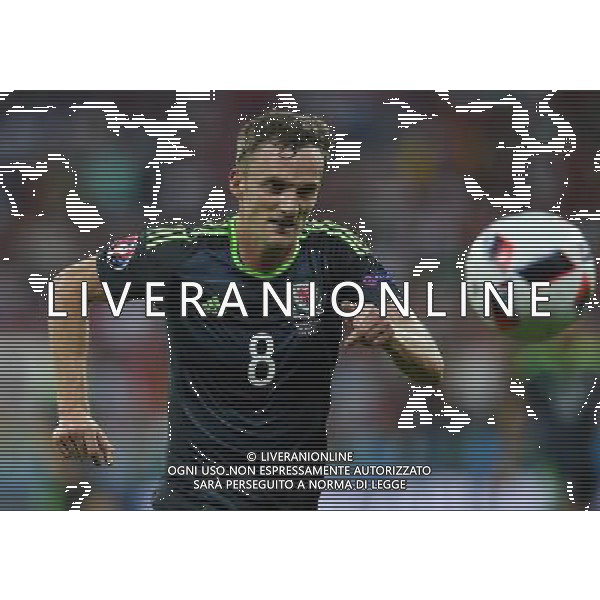 UEFA Francia EURO 2016 Final Tournament Semi-finals Lione - 06.07.2016 Portogallo-Galles Nella Foto:king /Ph.Vitez-Ag. Aldo Liverani