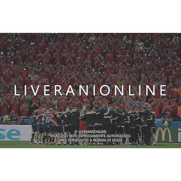 UEFA Francia EURO 2016 Final Tournament Semi-finals Lione - 06.07.2016 Portogallo-Galles Nella Foto:i giocatori del galles salutano i propri tifosi /Ph.Vitez-Ag. Aldo Liverani