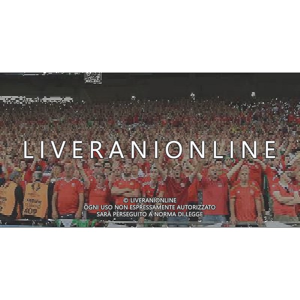 UEFA Francia EURO 2016 Final Tournament Semi-finals Lione - 06.07.2016 Portogallo-Galles Nella Foto:i tifosi del galles festeggiano nonostante la sconfitta /Ph.Vitez-Ag. Aldo Liverani