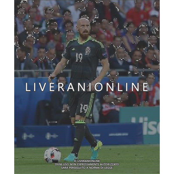 UEFA Francia EURO 2016 Final Tournament Semi-finals Lione - 06.07.2016 Portogallo-Galles Nella Foto:Collins James /Ph.Vitez-Ag. Aldo Liverani