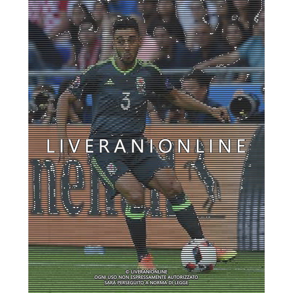 UEFA Francia EURO 2016 Final Tournament Semi-finals Lione - 06.07.2016 Portogallo-Galles Nella Foto:Taylor Neil /Ph.Vitez-Ag. Aldo Liverani