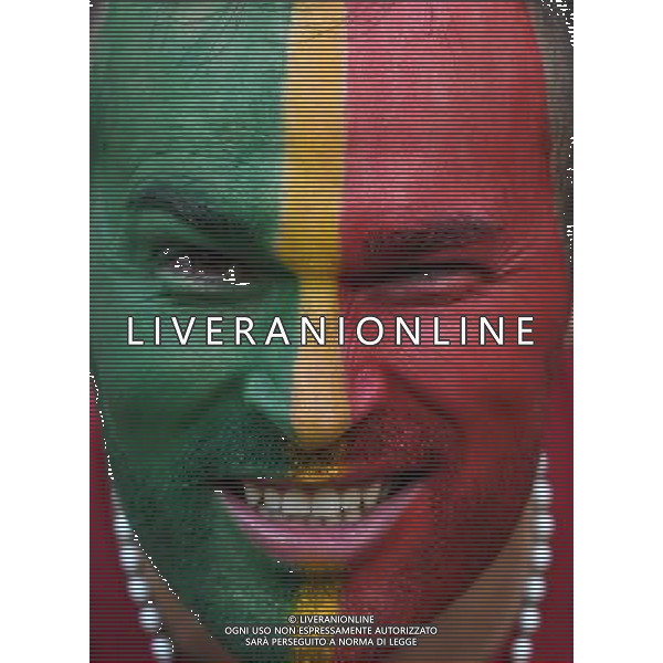 UEFA Francia EURO 2016 Final Tournament Semi-finals Lione - 06.07.2016 Portogallo-Galles Nella Foto:Tifosi /Ph.Vitez-Ag. Aldo Liverani