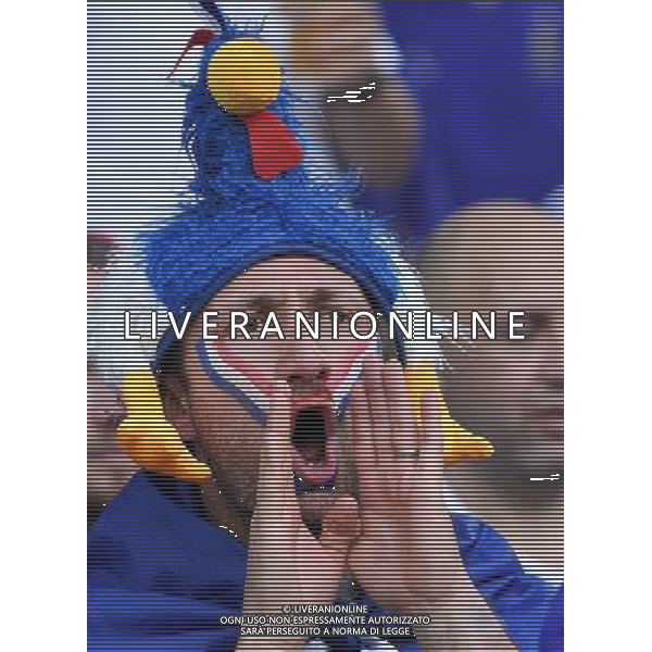 UEFA Francia EURO 2016 Final Tournament Semi-finals Marsiglia - 07.07.2016 Germania-Francia Nella Foto: Tifosi /Ph.Vitez-Ag. Aldo Liverani