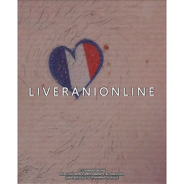 UEFA Francia EURO 2016 Final Tournament Semi-finals Marsiglia - 07.07.2016 Germania-Francia Nella Foto: Tifosi /Ph.Vitez-Ag. Aldo Liverani