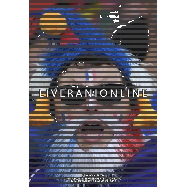 UEFA Francia EURO 2016 Final Tournament Semi-finals Marsiglia - 07.07.2016 Germania-Francia Nella Foto: Tifosi /Ph.Vitez-Ag. Aldo Liverani