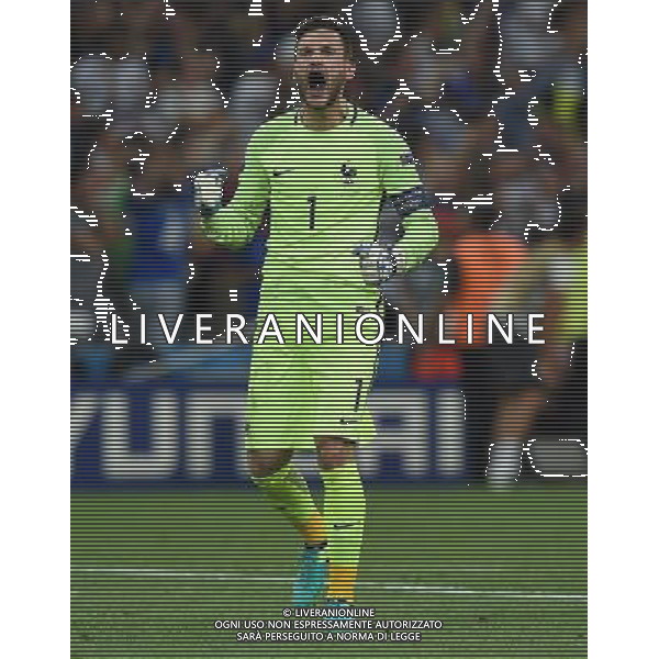UEFA Francia EURO 2016 Final Tournament Semi-finals Marsiglia - 07.07.2016 Germania-Francia Nella Foto:lloris esulta dopo il gol su rigore di griezmann /Ph.Vitez-Ag. Aldo Liverani