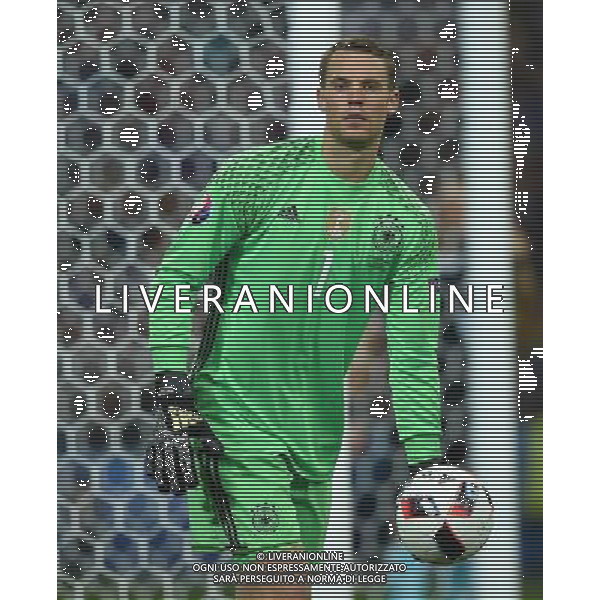 UEFA Francia EURO 2016 Final Tournament Semi-finals Marsiglia - 07.07.2016 Germania-Francia Nella Foto:Neuer Manuel /Ph.Vitez-Ag. Aldo Liverani