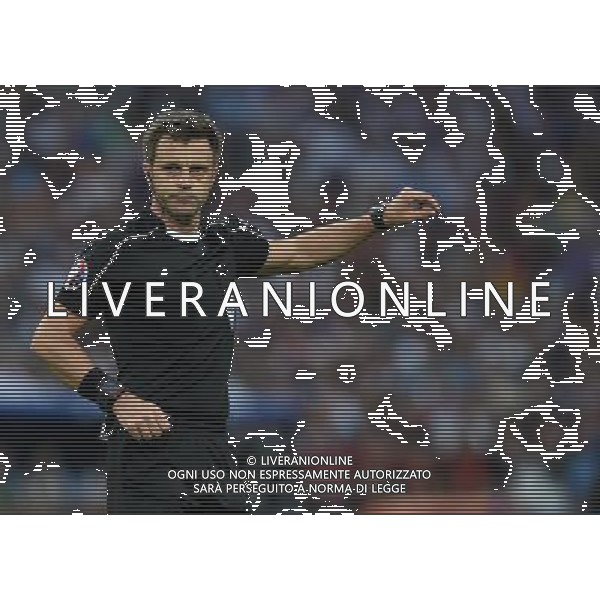 UEFA Francia EURO 2016 Final Tournament Semi-finals Marsiglia - 07.07.2016 Germania-Francia Nella Foto:Rizzoli Nicola /Ph.Vitez-Ag. Aldo Liverani