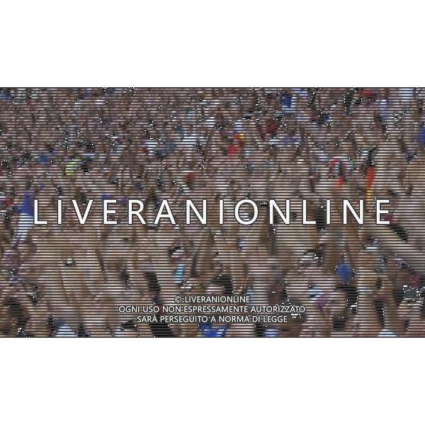 UEFA Francia EURO 2016 Final Tournament Semi-finals Marsiglia - 07.07.2016 Germania-Francia Nella Foto:Tifosi /Ph.Vitez-Ag. Aldo Liverani