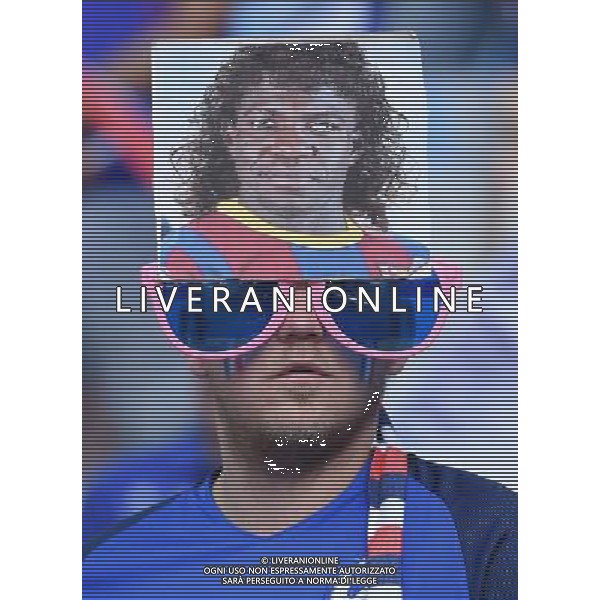 UEFA Francia EURO 2016 Final Tournament Final Parigi Saint-Denis - 10.07.2016 Portogallo-Francia Nella Foto: Tifosi /Ph.Vitez-Ag. Aldo Liverani