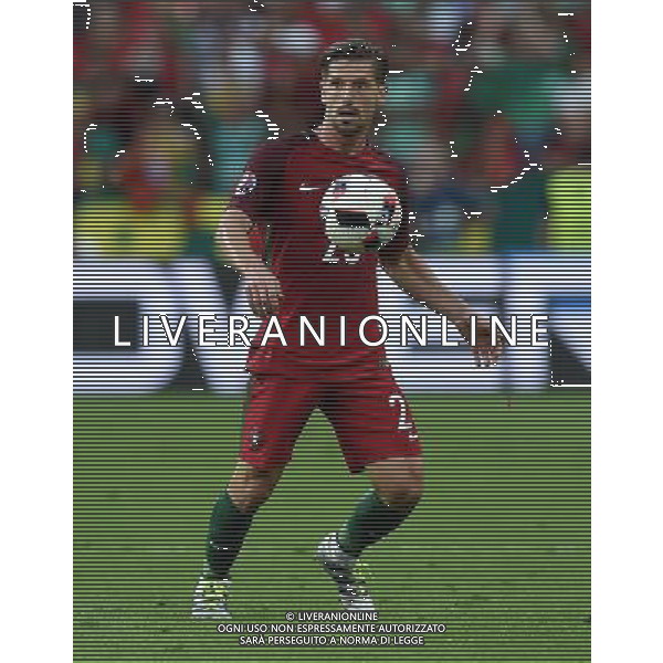 UEFA Francia EURO 2016 Final Tournament Final Parigi Saint-Denis - 10.07.2016 Portogallo-Francia Nella Foto:silva /Ph.Vitez-Ag. Aldo Liverani