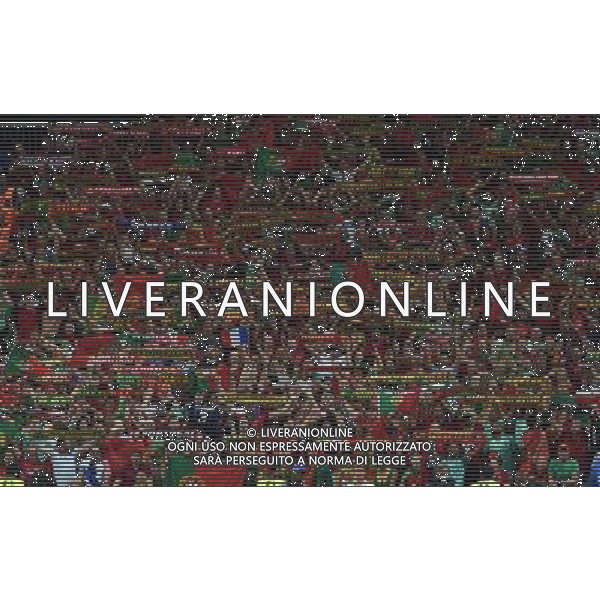 UEFA Francia EURO 2016 Final Tournament Final Parigi Saint-Denis - 10.07.2016 Portogallo-Francia Nella Foto:tifosi portogallo /Ph.Vitez-Ag. Aldo Liverani