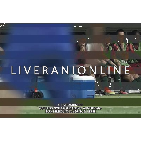 UEFA Francia EURO 2016 Final Tournament Final Parigi Saint-Denis - 10.07.2016 Portogallo-Francia Nella Foto: cristiano ronaldo incita i compagni dalla panchina /Ph.Vitez-Ag. Aldo Liverani