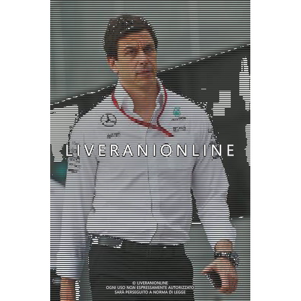 Toto Wolff (GER) Mercedes AMG F1 Shareholder and Executive Director. 22.07.2016. Formula 1 World Championship, Rd 11, Hungarian Grand Prix, Budapest, Hungary, Practice Day. / AGENZIA ALDO LIVERANI SAS - ITALY ONLY EDITORIAL USE ONLY GP F1 Ungheria - Prove Libere