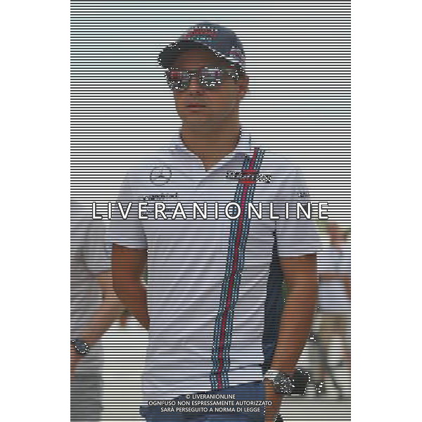 Felipe Massa (BRA) Williams. 22.07.2016. Formula 1 World Championship, Rd 11, Hungarian Grand Prix, Budapest, Hungary, Practice Day. / AGENZIA ALDO LIVERANI SAS - ITALY ONLY EDITORIAL USE ONLY GP F1 Ungheria - Prove Libere
