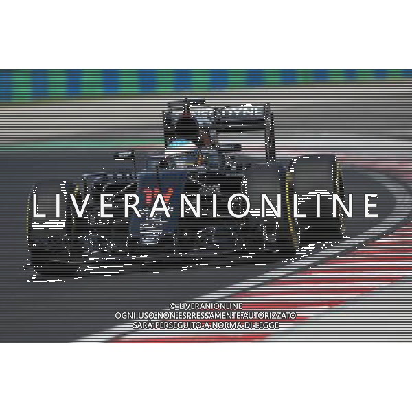 Fernando Alonso (ESP), McLaren Honda 22.07.2016. Formula 1 World Championship, Rd 11, Hungarian Grand Prix, Budapest, Hungary, Practice Day. / AGENZIA ALDO LIVERANI SAS - ITALY ONLY EDITORIAL USE ONLY GP F1 Ungheria - Prove Libere