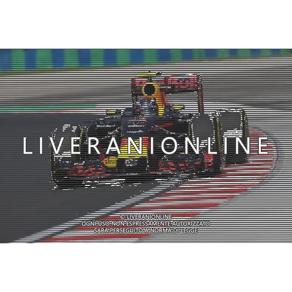 Max Verstappen (NL), Red Bull Racing 22.07.2016. Formula 1 World Championship, Rd 11, Hungarian Grand Prix, Budapest, Hungary, Practice Day. / AGENZIA ALDO LIVERANI SAS - ITALY ONLY EDITORIAL USE ONLY GP F1 Ungheria - Prove Libere