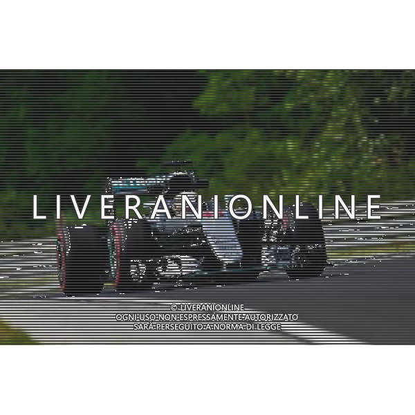 Lewis Hamilton (GBR) Mercedes AMG F1 W07 Hybrid. 22.07.2016. Formula 1 World Championship, Rd 11, Hungarian Grand Prix, Budapest, Hungary, Practice Day. / AGENZIA ALDO LIVERANI SAS - ITALY ONLY EDITORIAL USE ONLY GP F1 Ungheria - Prove Libere