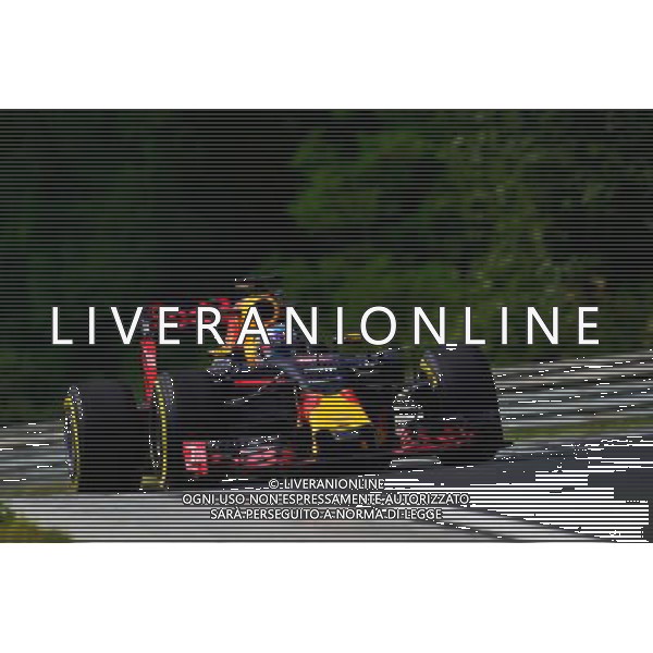Daniel Ricciardo (AUS) Red Bull Racing RB12. 22.07.2016. Formula 1 World Championship, Rd 11, Hungarian Grand Prix, Budapest, Hungary, Practice Day. / AGENZIA ALDO LIVERANI SAS - ITALY ONLY EDITORIAL USE ONLY GP F1 Ungheria - Prove Libere