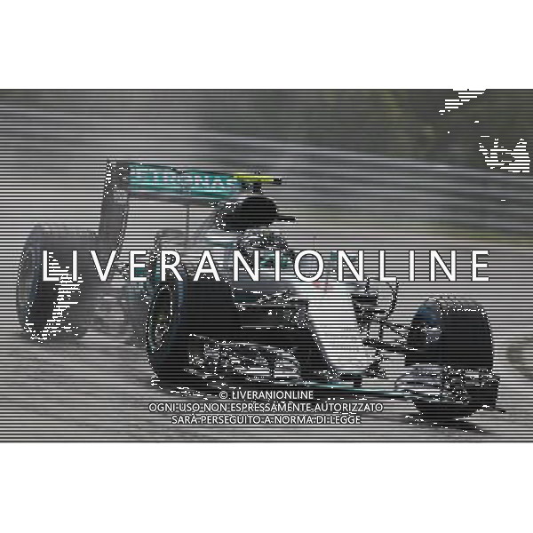 Nico Rosberg (GER) Mercedes AMG F1 W07 Hybrid. 23.07.2016. Formula 1 World Championship, Rd 11, Hungarian Grand Prix, Budapest, Hungary, Qualifying Day. / AGENZIA ALDO LIVERANI SAS - ITALY ONLY EDITORIAL USE ONLY - GP F1 Ungheria - Prove Ufficiali Qualifiche