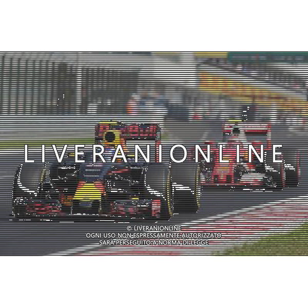 Max Verstappen (NLD) Red Bull Racing RB12. 24.07.2016. Formula 1 World Championship, Rd 11, Hungarian Grand Prix, Budapest, Hungary, Race Day. /AGENZIA ALDO LIVERANI Sas - ITALY ONLY EDITORIAL USE ONLY - GP F1 Ungheria Gara