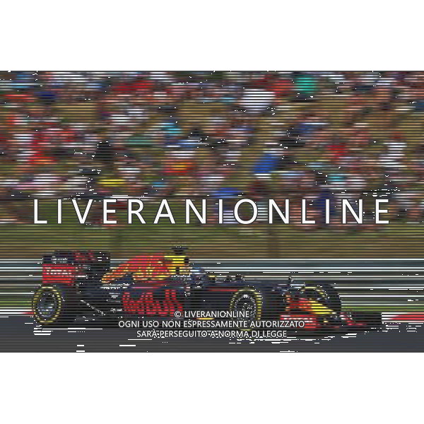 Daniel Ricciardo (AUS) Red Bull Racing RB12. 24.07.2016. Formula 1 World Championship, Rd 11, Hungarian Grand Prix, Budapest, Hungary, Race Day. /AGENZIA ALDO LIVERANI Sas - ITALY ONLY EDITORIAL USE ONLY - GP F1 Ungheria Gara