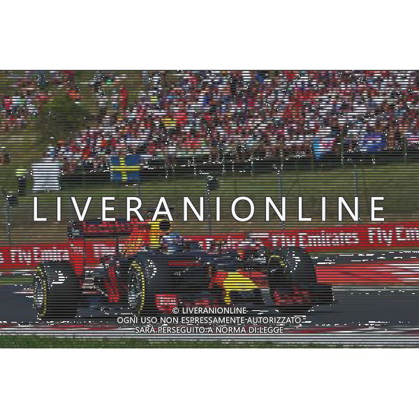 Daniel Ricciardo (AUS) Red Bull Racing RB12. 24.07.2016. Formula 1 World Championship, Rd 11, Hungarian Grand Prix, Budapest, Hungary, Race Day. /AGENZIA ALDO LIVERANI Sas - ITALY ONLY EDITORIAL USE ONLY - GP F1 Ungheria Gara