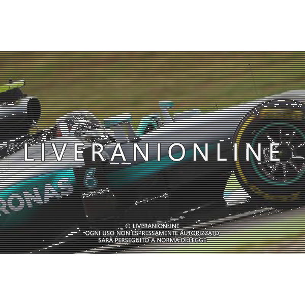 Nico Rosberg (GER) Mercedes AMG F1 W07 Hybrid. 29.07.2016. Formula 1 World Championship, Rd 12, German Grand Prix, Hockenheim, Germany, Practice Day. AG ALDO LIVERANI SAS ONLY ITALY