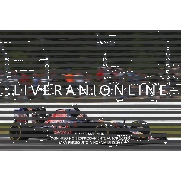 Daniil Kvyat (RUS) Scuderia Toro Rosso STR11. 29.07.2016. Formula 1 World Championship, Rd 12, German Grand Prix, Hockenheim, Germany, Practice Day. AG ALDO LIVERANI SAS ONLY ITALY