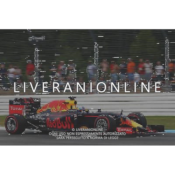Daniel Ricciardo (AUS) Red Bull Racing RB12. 29.07.2016. Formula 1 World Championship, Rd 12, German Grand Prix, Hockenheim, Germany, Practice Day. AG ALDO LIVERANI SAS ONLY ITALY