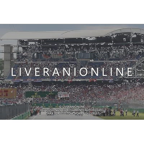 The grid before the start of the race. 31.07.2016. Formula 1 World Championship, Rd 12, German Grand Prix, Hockenheim, Germany, Race Day. AG ALDO LIVERANI SAS ONLY ITALY