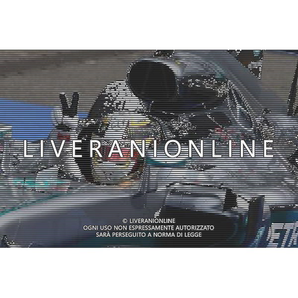 1st place Lewis Hamilton (GBR) Mercedes AMG F1 W07 . 31.07.2016. Formula 1 World Championship, Rd 12, German Grand Prix, Hockenheim, Germany, Race Day. AG ALDO LIVERANI SAS ONLY ITALY
